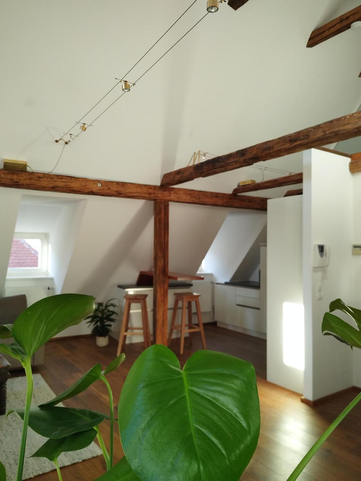 Goldene Pastete - Urban Luxury Apartment